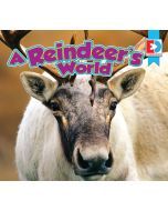 A Reindeer's World