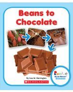 Beans to Chocolate
