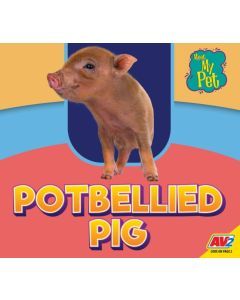 Potbellied Pig