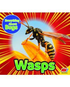 Wasps