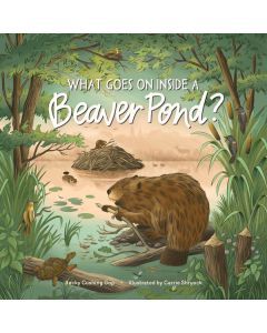 What Goes On Inside a Beaver Pond?