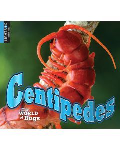 Centipedes