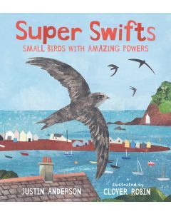 Super Swifts: Small Birds with Amazing Powers