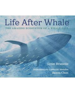 Life After Whale: The Amazing Ecosystem of a Whale Fall