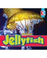 All About Jellyfish