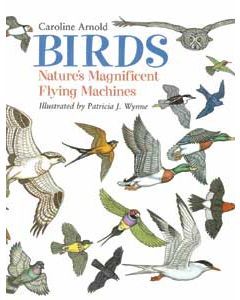 Birds: Nature’s Magnificent Flying Machines