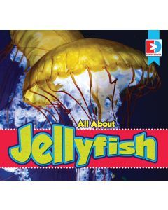 All About Jellyfish