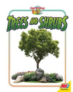 Trees and Shrubs