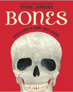Bones: Skeletons & How They Work