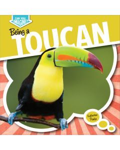 Being a Toucan