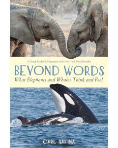 Beyond Words: What Elephants and Whales Think and Feel (Young Reader's Adaptation)