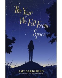 The Year We Fell From Space