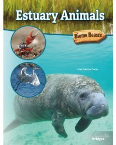 Estuary Animals