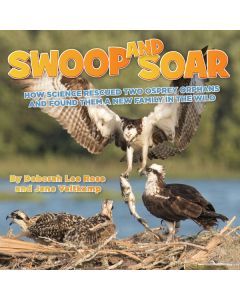 Swoop & Soar: How Science Rescued Two Osprey Orphans and Found Them a New Family in the Wild