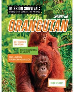 Saving the Orangutan