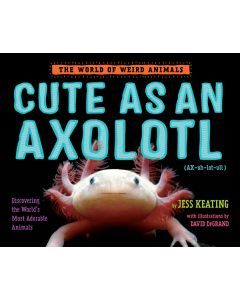 Cute As An Axolotl: The World of Weird Animals