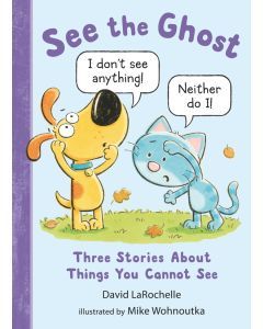 See the Ghost: Three Stories About Things You Cannot See