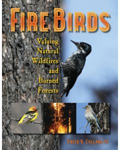 Fire Birds: Valuing Natural Wildfires and Burned Forests