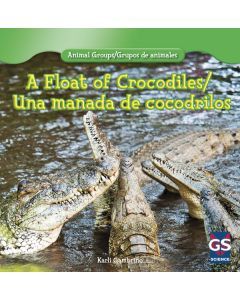 A Float of Crocodiles / Una manada de cocodrilos