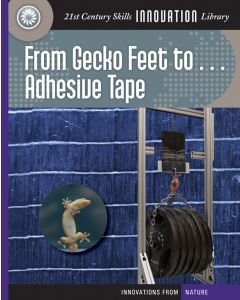 From Gecko Feet to . . . Adhesive Tape