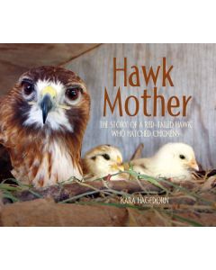 Hawk Mother: The Story of a Red-Tailed Hawk Who Hatches Chicks