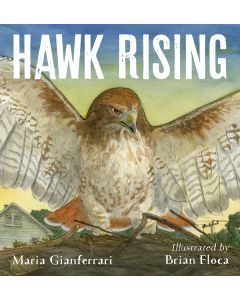 Hawk Rising