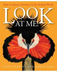 Look at Me!: How to Attract Attention in the Animal World