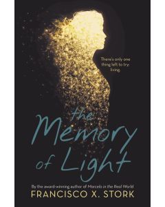 The Memory of Light (Audiobook)