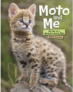 Moto and Me: My Year as a Wildcat's Foster Mom