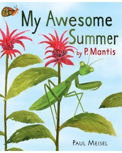 My Awesome Summer, by P. Mantis