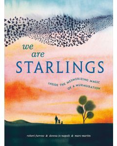 We Are Starlings: Inside the Mesmerizing Magic of Murmuration
