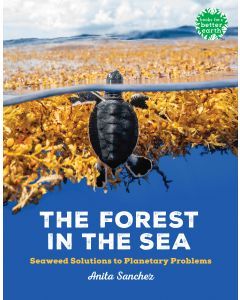 The Forest in the Sea: Seaweed Solutions to Planetary Problems