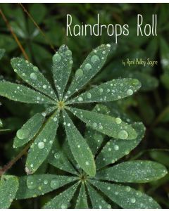 Raindrops Roll