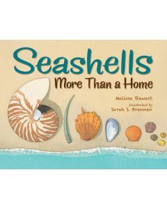Seashells : More Than a Home