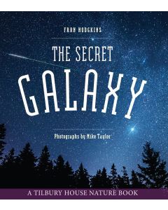 The Secret Galaxy