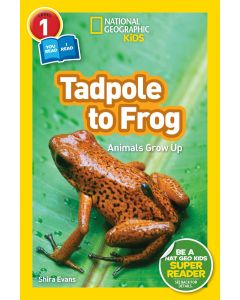 Tadpole to Frog: National Geographic Readers