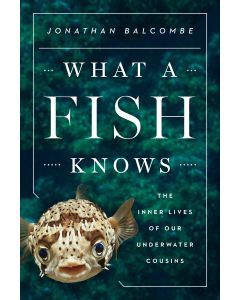 What a Fish Knows: The Inner Lives of Our Underwater Cousins