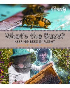 What’s the Buzz?: Keeping Bees in Flight
