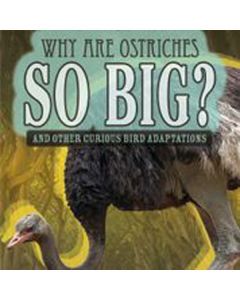 Why Are Ostriches So Big?: And Other Curious Bird Adaptations