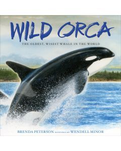 Wild Orca: The Oldest, Wisest Whale in the World