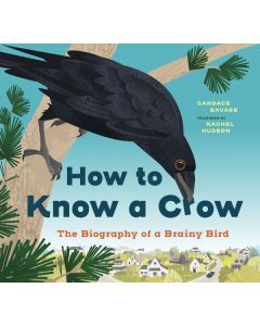 How to Know a Crow: The Biography of a Brainy Bird