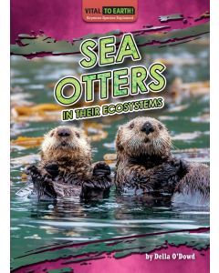 Sea Otters in Their Ecosystems