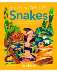Snakes (A Day in the Life): What do Cobras, Pythons, and Anacondas Get  Up to All Day?