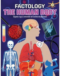 Factology: The Human Body