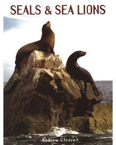 Seals & Sea Lions