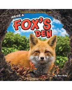 Inside a Fox's Den