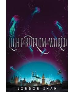The Light at the Bottom of the World (Audiobook)