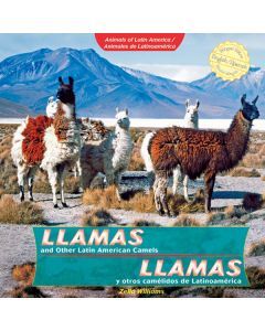 Llamas and Other Latin American Camels / Llamas y otros camélidos de Latinoamérica