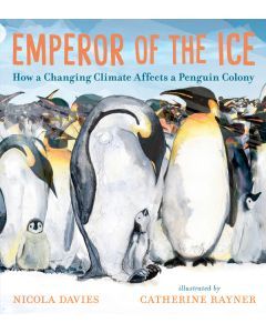 Emperor of the Ice: How a Changing Climate Affects a Penguin Colony