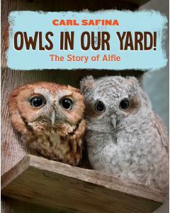 Owls in Our Yard!: The Story of Alfie